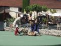 bern   cheval blanc 022