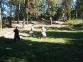 avignon 022