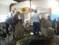 corso 2015 013