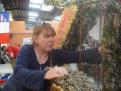 corso 2015 036