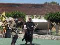 bern   cheval blanc 030