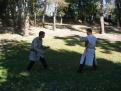 avignon 032
