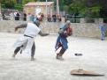 figanieres 088