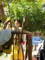 avignon 030
