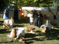 avignon 006