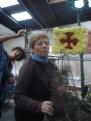 corso 2015 010