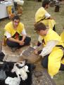 fayence 2013 (16)