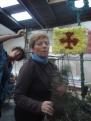 corso 2015 010