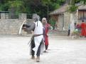 figanieres 087