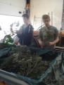 corso 2015 006
