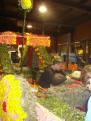 corso 2015 065