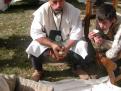 avignon 093