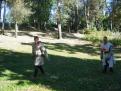 avignon 026