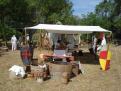 fayence 2014 007