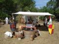fayence 2014 007